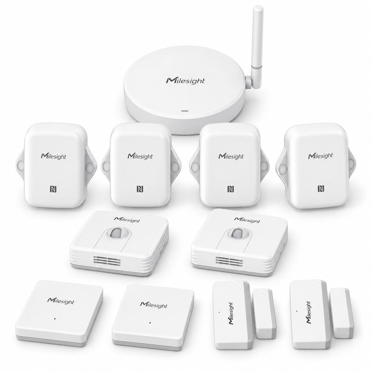 Kit chiese e luoghi di culto Litio Store: i dispositivi Milesight inclusi nel kit