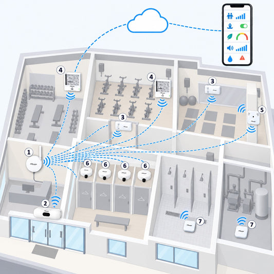 Kit palestra e centro fitness Litio Store: schema di installazione con dispositivi Milesight LoRaWAN