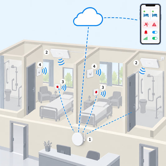 Kit RSA cadute e chiamata 10 stanze Litio Store: schema di installazione con dispositivi Milesight LoRaWAN