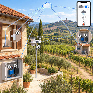 Kit vigneto e frutteto con LoRa 5 km – schema