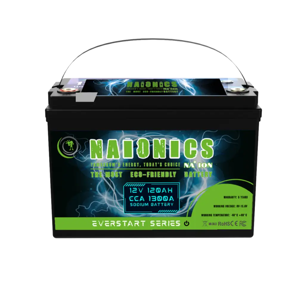 Batteria al Sodio 12V 120Ah EverStart Series NA1212001SB
