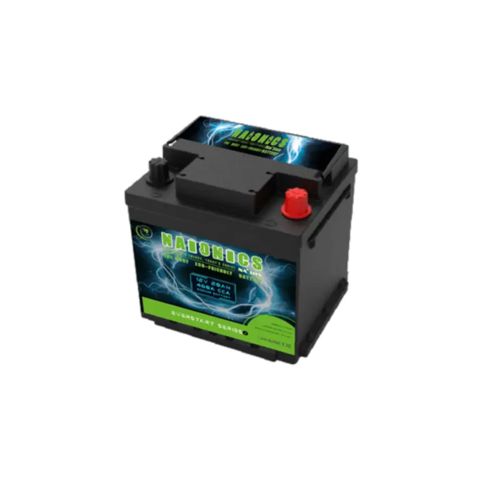 Batteria al Sodio 12V 20Ah EverStart Series NA1202002SN