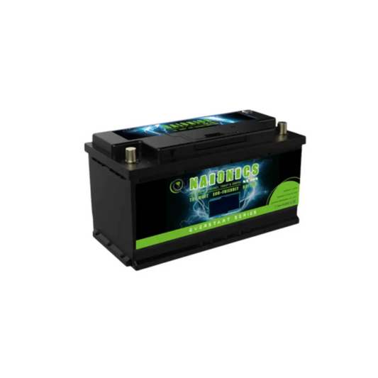 Batteria al Sodio 12V 30Ah EverStart Series NA1203004SN