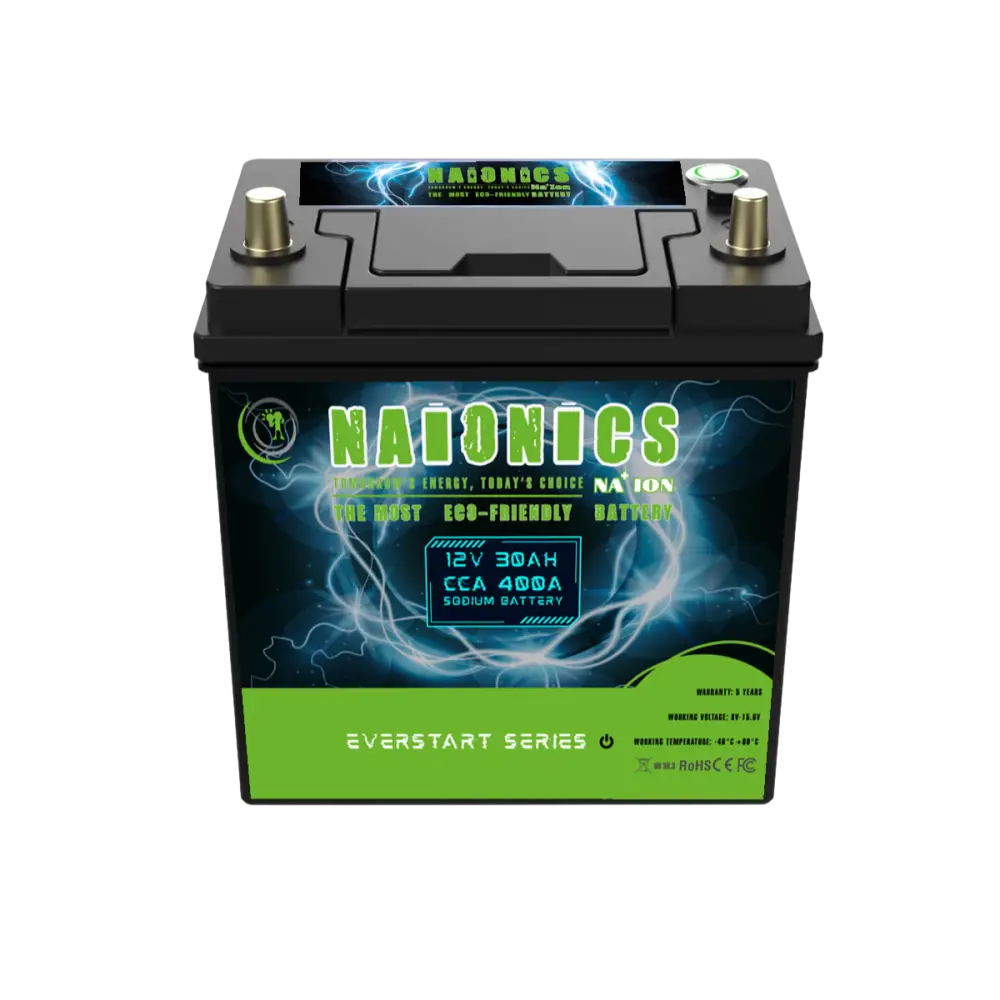 Batteria al Sodio 12V 30Ah EverStart Series NA1203001SN