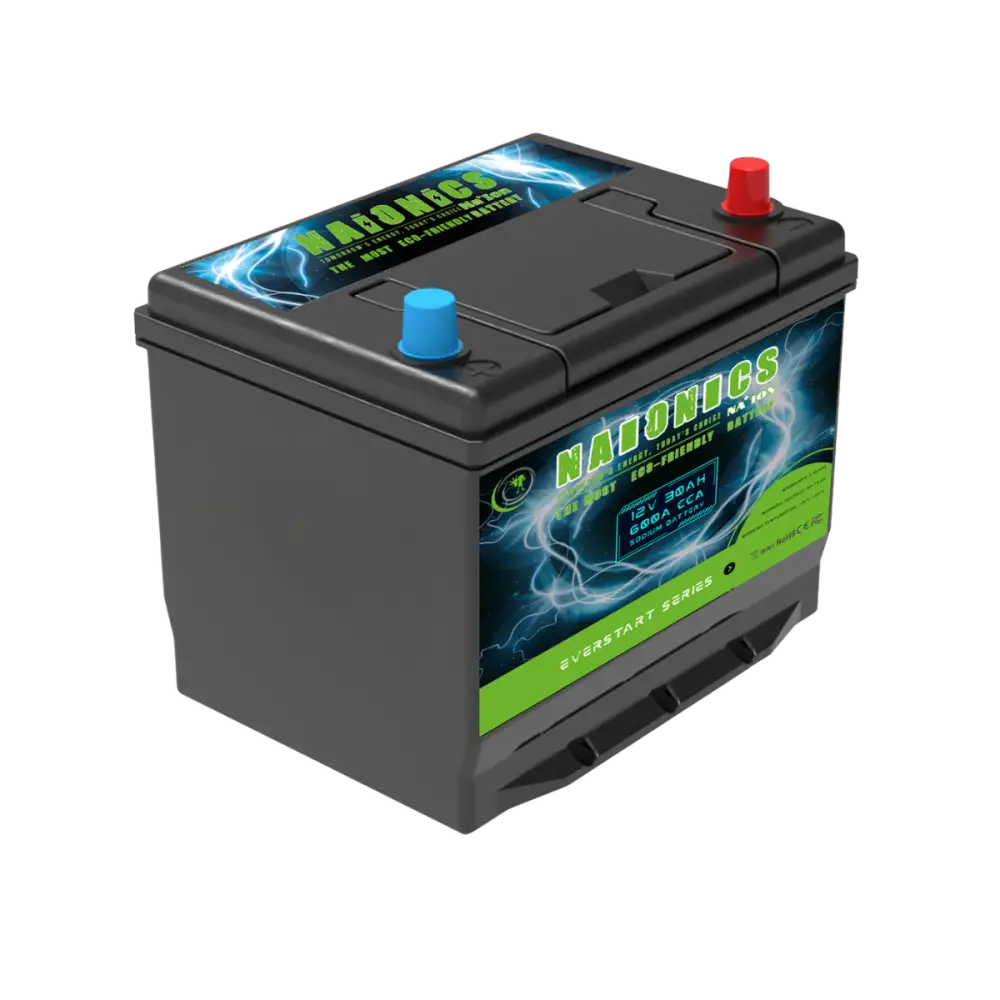 Batteria al Sodio 12V 30Ah EverStart Series NA1203003SN