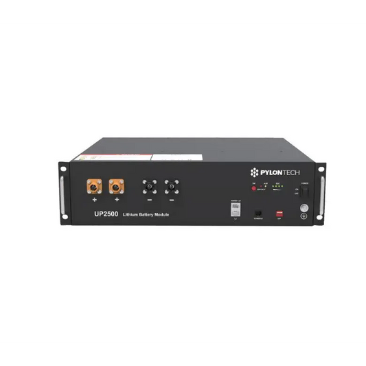 Pylontech UP2500 24V 2.8kWh LiFePO4 batteria litio accumulo fotovoltaico