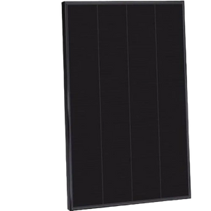 Solarfam 100W Full Black Monocrystalline Solar Panel, 116x45cm, 12V 100Wp