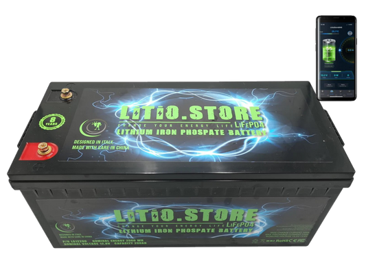 Batterie LiFePO4 24V 100Ah Bluetooth Litio Store LFP 100A BMS 2560Wh